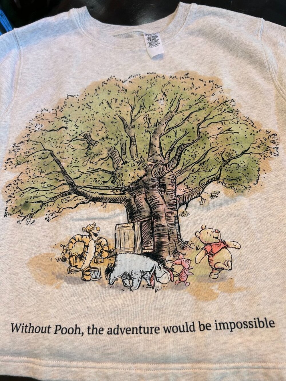 Winnie the Pooh Sweatshirt